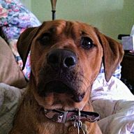 Yahoo H2H-Pts 184334 - RIDGEBACKS | Fantasy Baseball | Yahoo! Sports