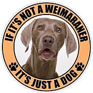 Long Live The Indians! - Weimaraners Rule | Fantasy Baseball | Yahoo ...