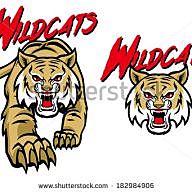 Southmore Wildcats | Fantasy Football | Yahoo! Sports