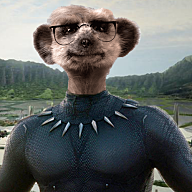 Wakanda Meerkats logo