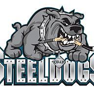 Goalie League - Birmingham Steeldogs | Fantasy Hockey | Yahoo! Sports