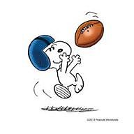 Yahoo H2H-Pts 1265881 - Red Baron Raiders | Fantasy Football | Yahoo ...