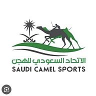 AL-HILAL SFC logo