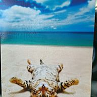 Yahoo H2H-Pts 1645644 - Margaritaville Red Zone | Fantasy Football ...